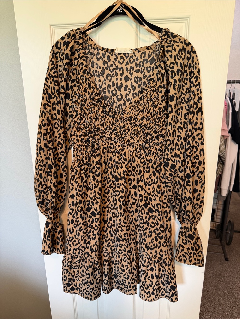 Leopard Print Long Sleeve Smocked Mini Dress - Tan/Black
